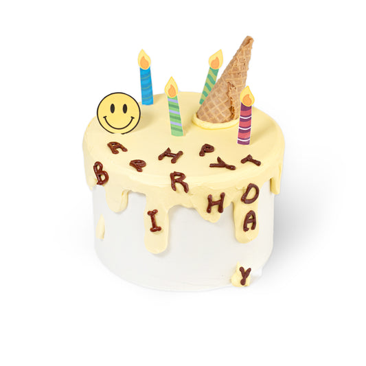 Happy Party Cake – A Burst of Fun and Celebration